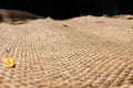 Natural Hessian Roll – 100% Jute Fabric for Garden, Construction, Frost Protection and Eco-Friendly Crafts