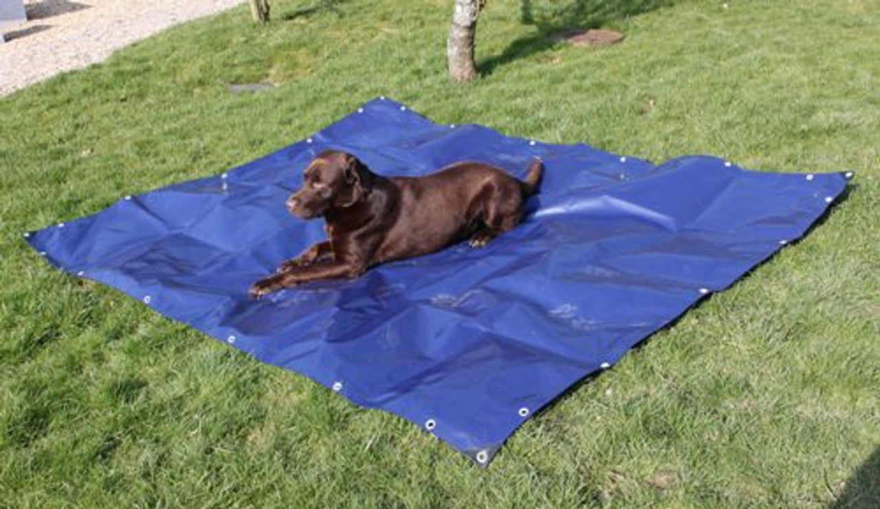 Waterproof Tarpaulin Sheet 350gsm Blue/Beige – Extra Heavy Duty UV-Proof Cover with Reinforced Eyelets for UK Industrial Use