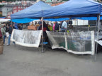 Waterproof Tarpaulin Sheet 310gsm Clear PVC – Transparent Heavy Duty Outdoor Cover with Reinforced Hems and Eyelets