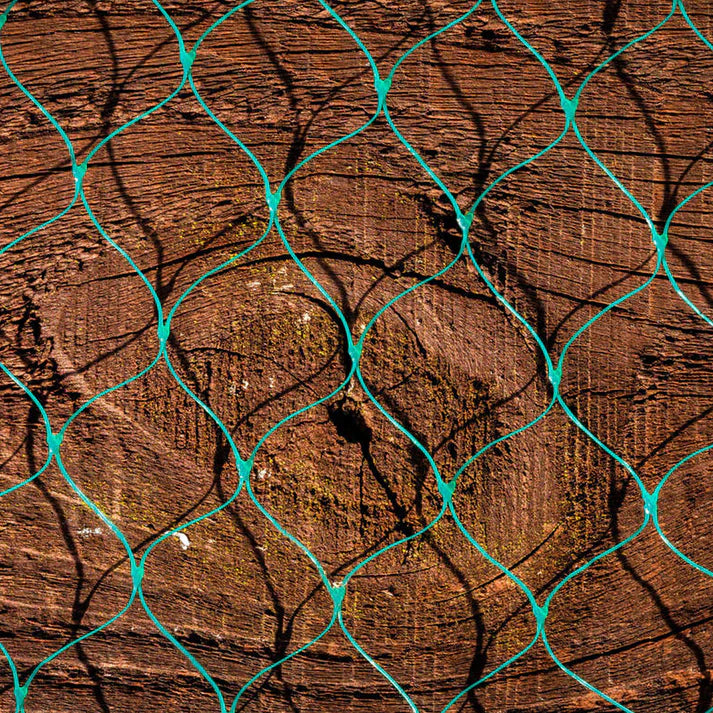 Durable Anti-Bird Netting for Gardens – Green & Black - UV Resistant Mesh for Fruit Trees, Vegetables & Ponds