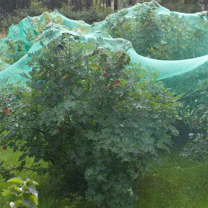 Durable Anti-Bird Netting for Gardens – Green & Black - UV Resistant Mesh for Fruit Trees, Vegetables & Ponds