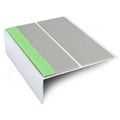 Dolphin Grey