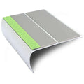 Dolphin Grey