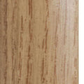 Elm