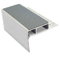 Dolophin Grey Tredsafe
